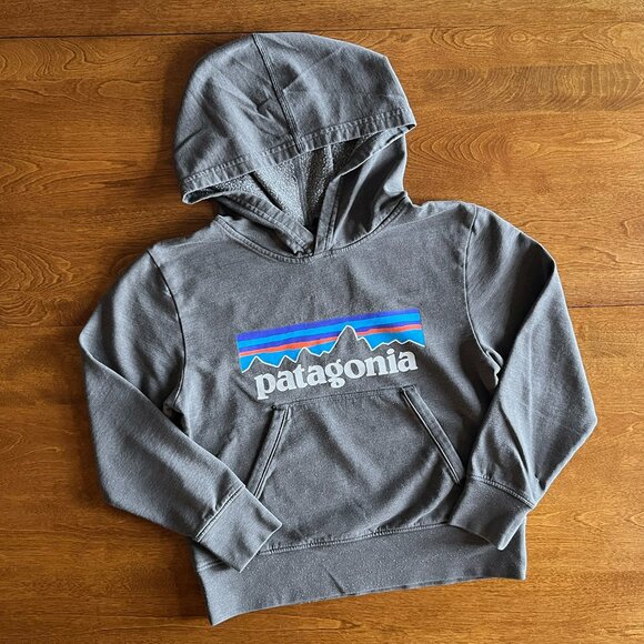 Patagonia gray logo hoodie S - Picture 1 of 10
